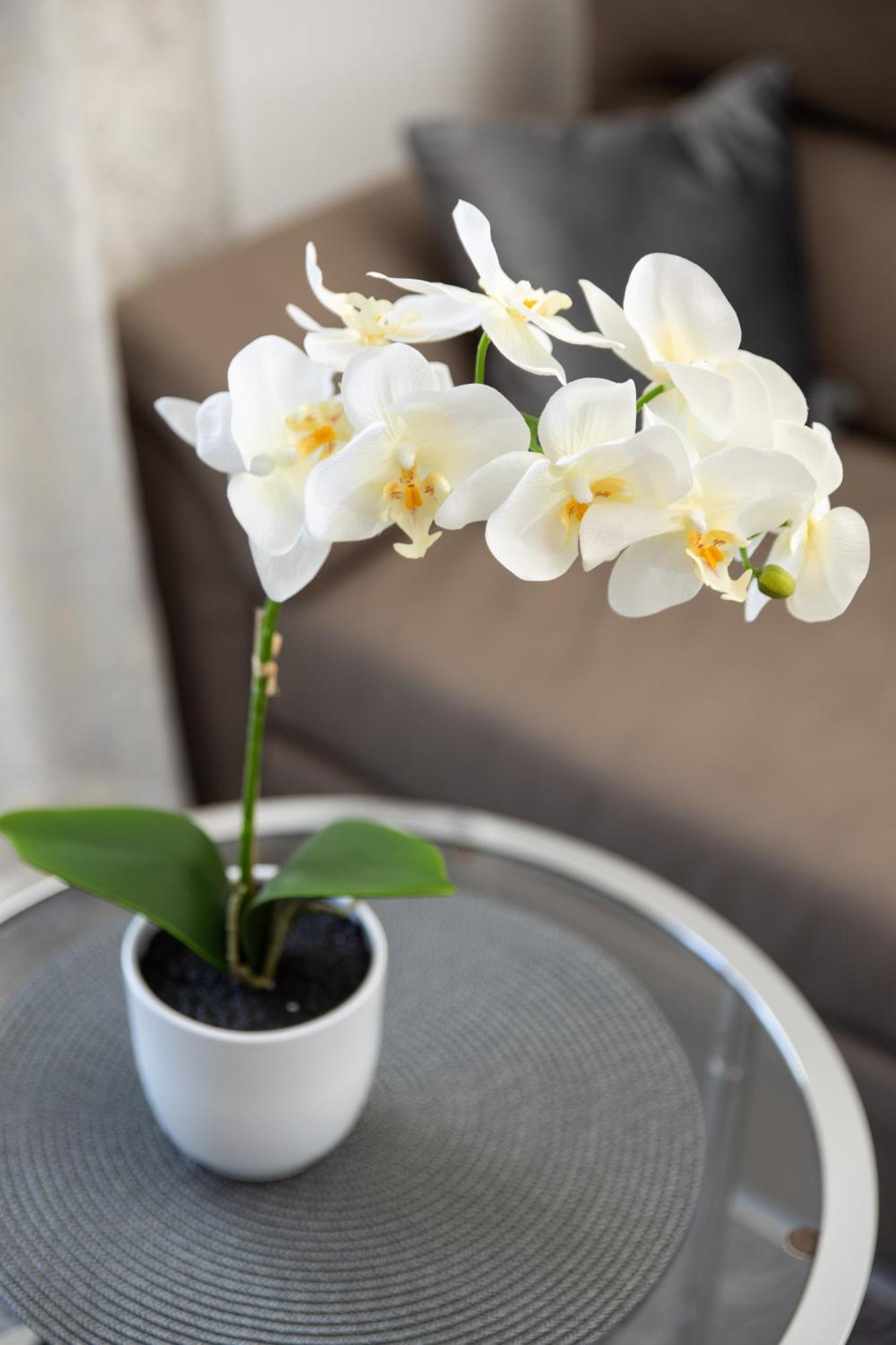 Apartman Sugar Palace Fiume